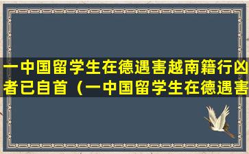 一中国留学生在德遇害越南籍行凶者已自首（一中国留学生在德遇害 越南籍行凶者已自首）